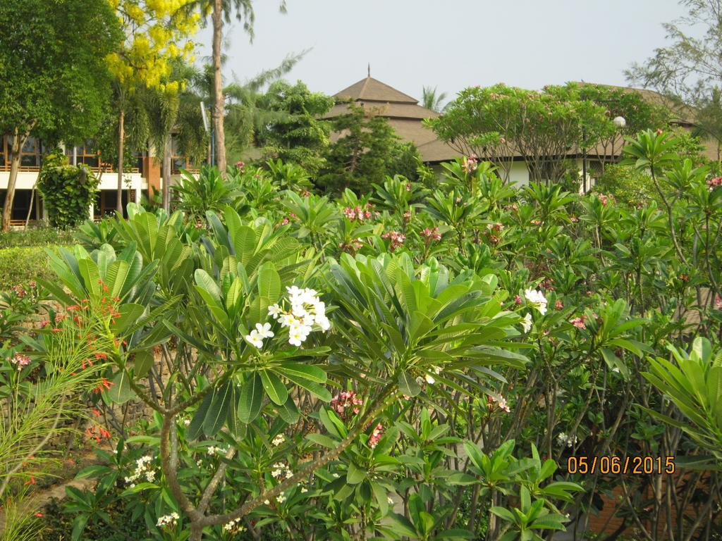 Aye Yar River View Resort Bagan Exterior foto